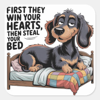 STICKER CARRÉ DOGS STEAL YOUR BED