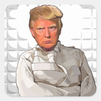 Sticker Carré Donald dans un carcan anti Trump