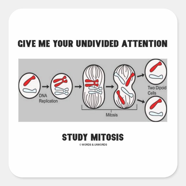 Sticker Carré Donnez-moi votre attention entière étude Mitose (Devant)