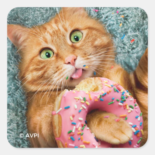 Sticker Carré Donut mangeur de chats (Devant)