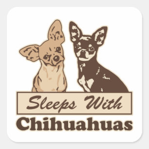 Sticker Carré Dors Avec Chihuahuas