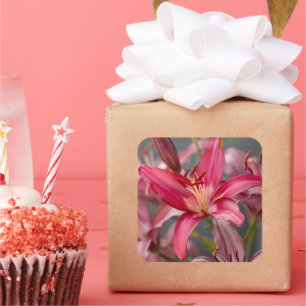Sticker Carré Douce Lily Rose