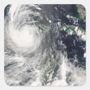 Sticker Carré Doyen d'ouragan
