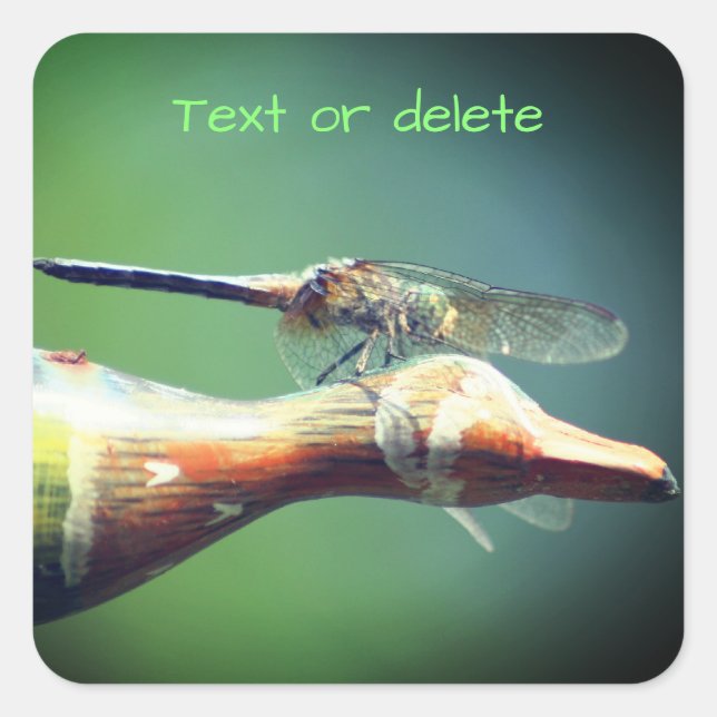 Sticker Carré Dragonfly Co Pilot Nature personnalisée (Devant)