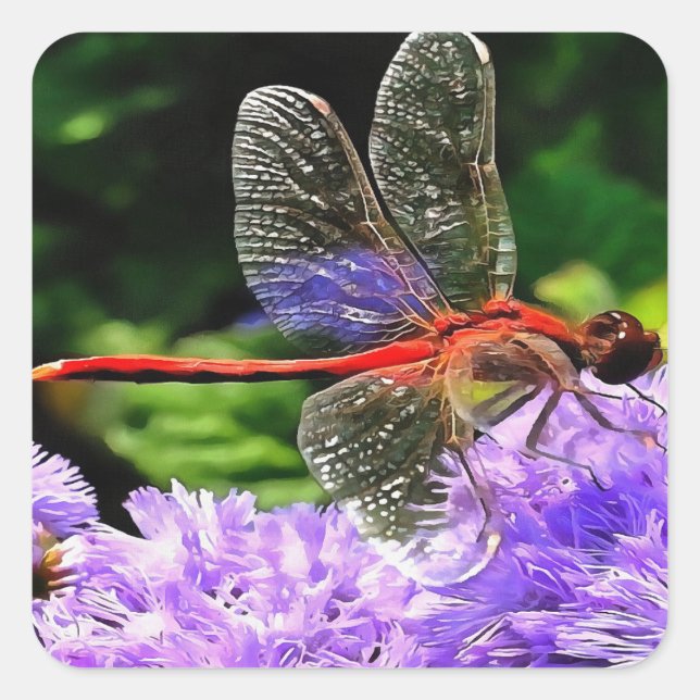 Sticker Carré Dragonfly rouge sur Violet Violet Fleurs (Devant)