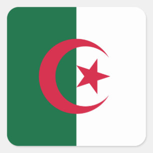Sticker Carré Drapeau algérien