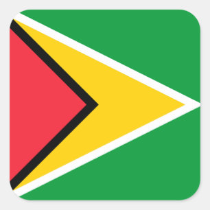 Sticker Carré Drapeau Guyana