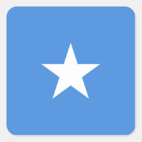 Drapeau somalien