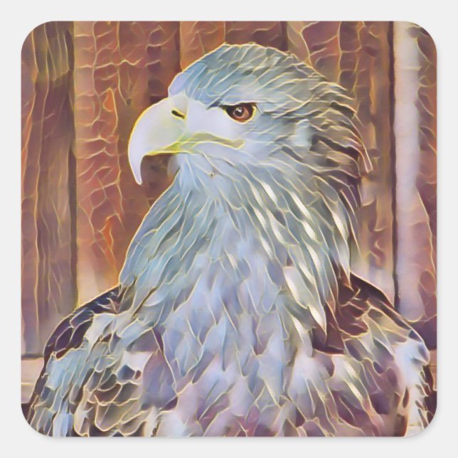 STICKER CARRÉ EAGLE DE MER (Devant)