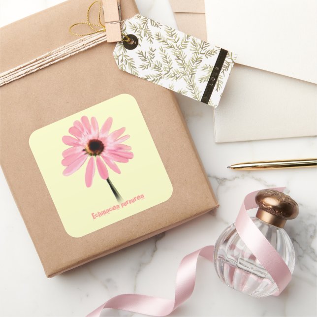 Sticker Carré Echinacea purpurea (Cadeaux)