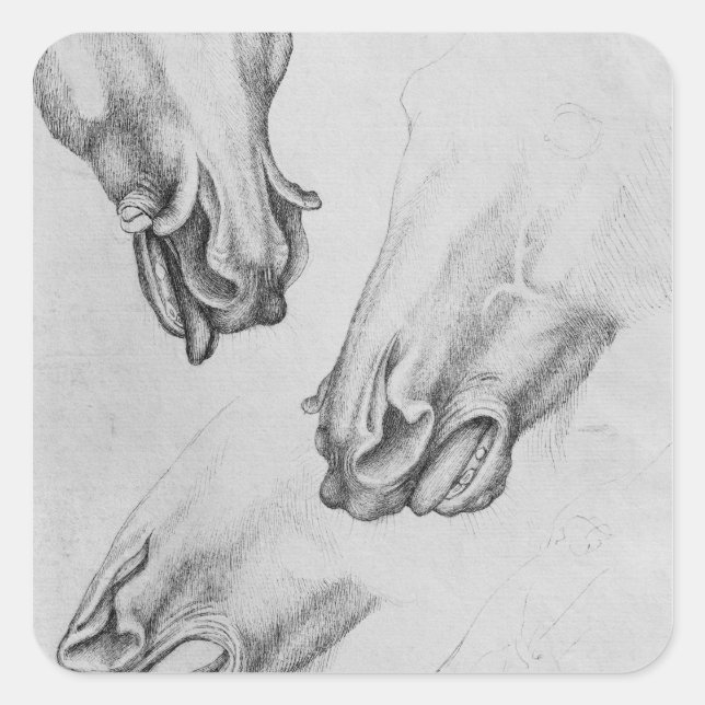 Sticker Carré Éclats de narines de chevaux (Devant)