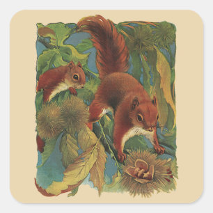 Sticker Carré Écureuils vintages, Créatures Forestières, Animaux