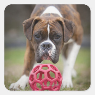 Sticker Carré edmonton, alberta canada