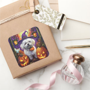 Sticker Carré Éffrayant Bichon Frise Halloween sorcière et Citro