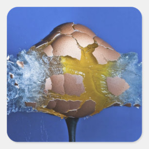 Sticker Carré Eggceptional