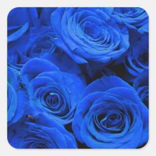 Sticker Carré Elégant bleu rose bleu fleurs bleu bleu bleu flora