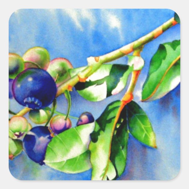 Sticker Carré Elégante aquarelle Blueberry peinture fruit bleu (Devant)