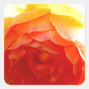 Sticker Carré Élégante Fleur jaune jaune rose jaune