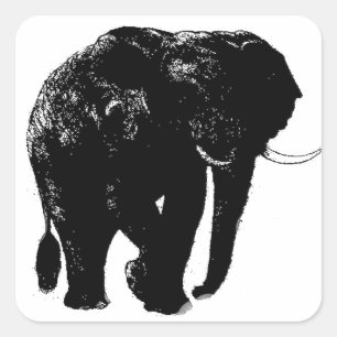 Sticker Carré éléphant
