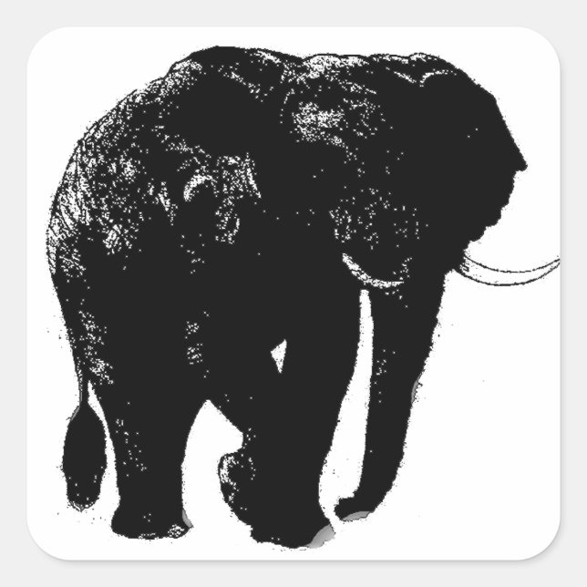 Sticker Carré éléphant (Devant)