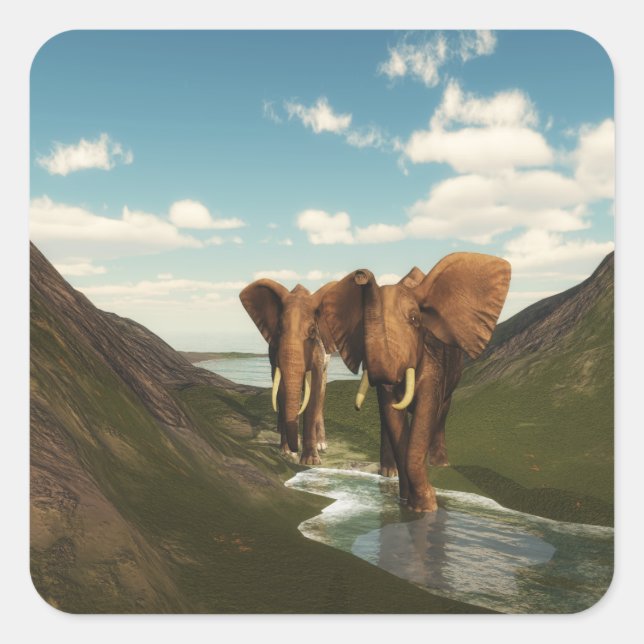 Sticker Carré Eléphant (Devant)