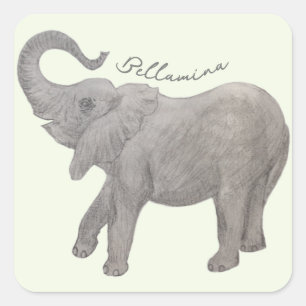 Sticker Carré Éléphant Bébé Avec Texte