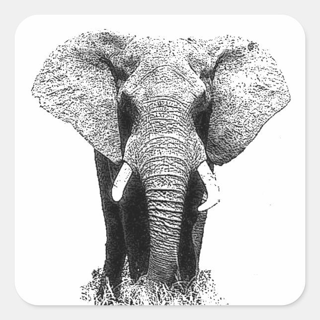 Sticker Carré Eléphant noir et blanc (Devant)