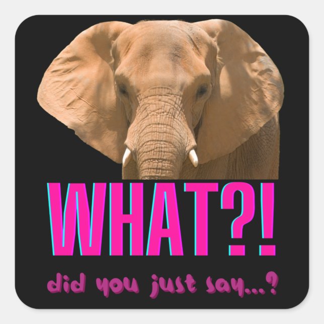 Sticker Carré Elephant Que Viens-Tu De Dire ? (Devant)