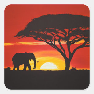 Sticker Carré Eléphant solitaire dans le coucher de soleil afric