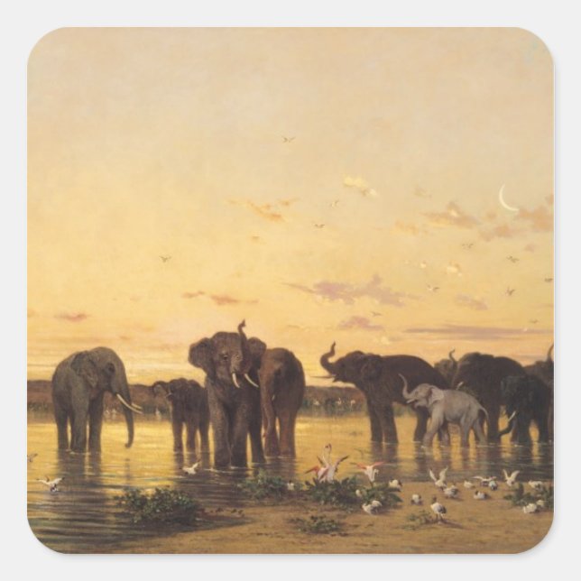 Sticker Carré Eléphants africains (Devant)
