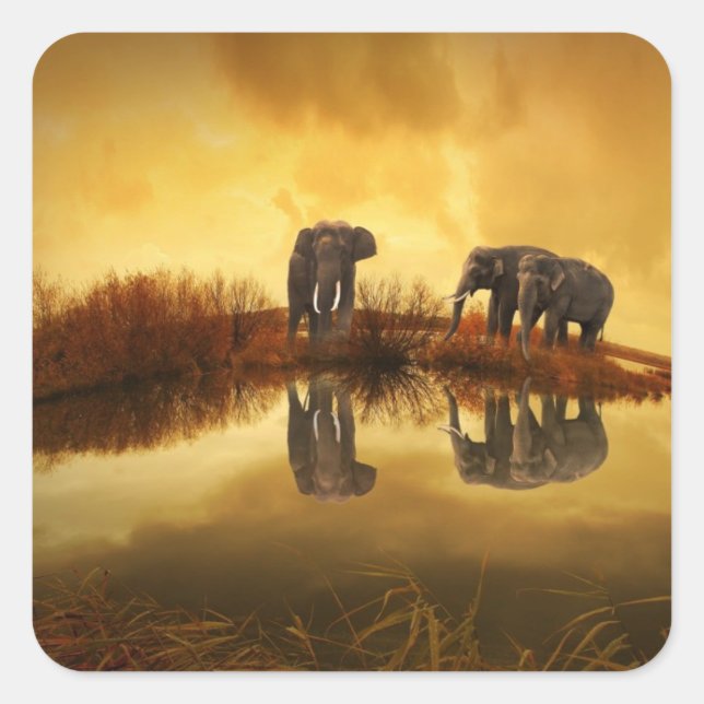 Sticker Carré Eléphants asiatiques en Thaïlande sous un coucher  (Devant)