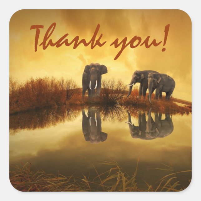 Sticker Carré Eléphants Merci (Devant)