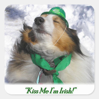Sticker Carré Embrasse-moi, je suis irlandais !