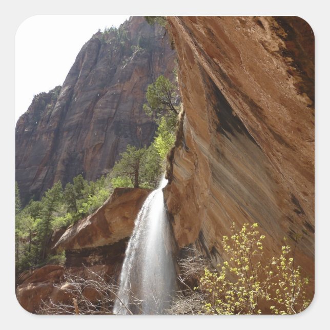 Sticker Carré Emerald Pool Falls III du parc national Zion (Devant)