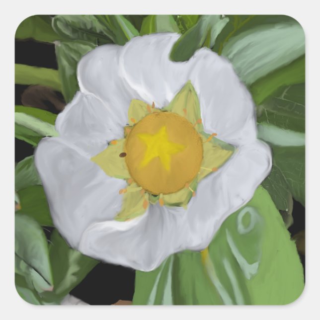 Sticker Carré en fleur de fraise (Devant)