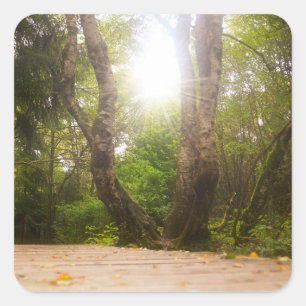 Sticker Carré En route...