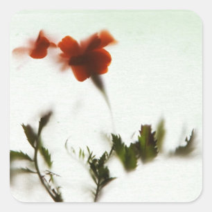 Sticker Carré Endlich Frühling !