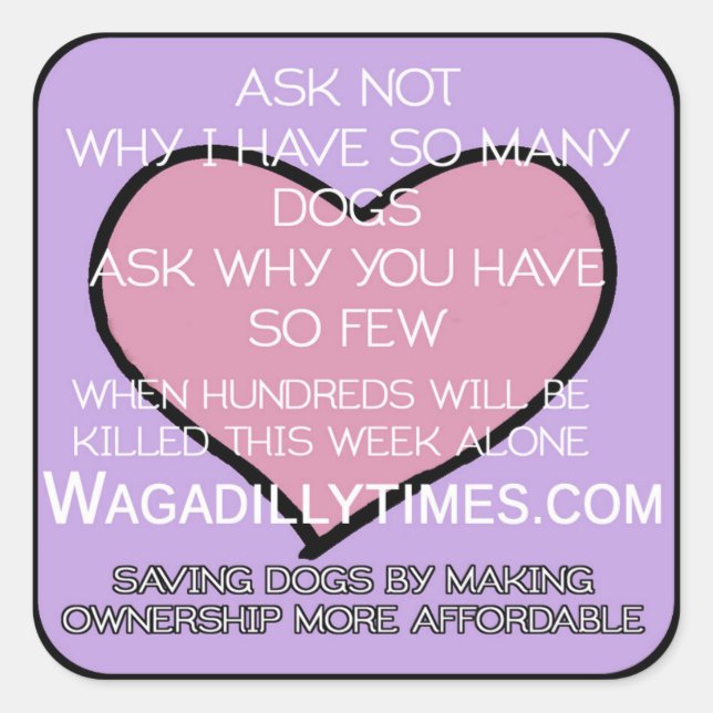 Sticker Carré Enregistrer l'autocollant Chiens (Devant)