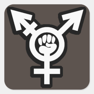 Sticker Carré Ensemble d'autocollants transgenres