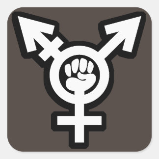 Sticker Carré Ensemble d'autocollants transgenres