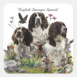 Sticker Carré Espagnol Springer anglais, Art