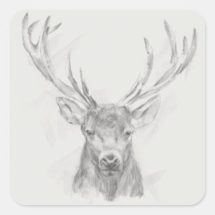 Sticker Carré Esquisse d'Elk contemporaine