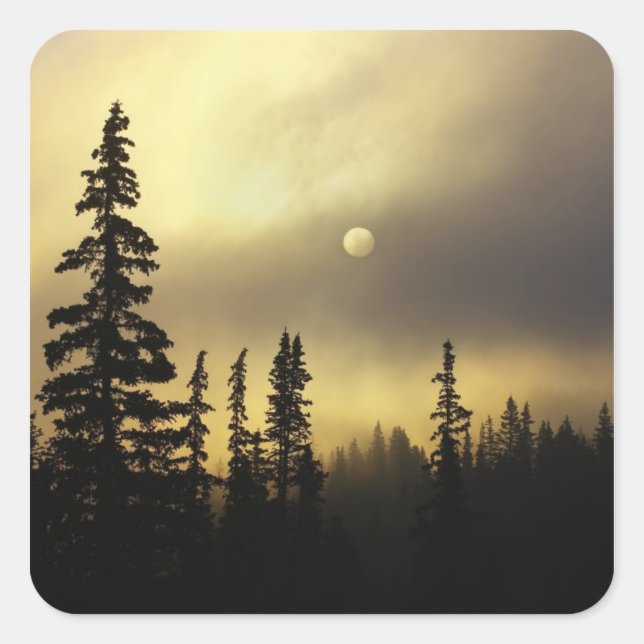 Sticker Carré États-Unis, Colorado, forêt nationale de San Isabe (Devant)