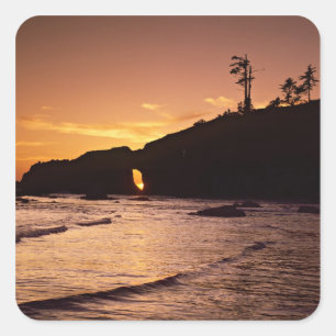 Sticker Carré États-Unis, État de Washington, Parc national ol