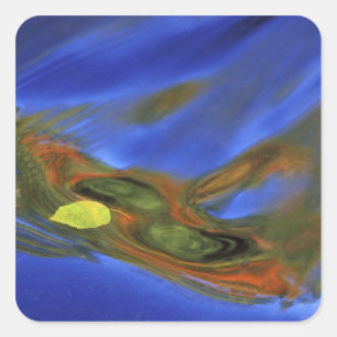 Sticker Carré États-Unis, Michigan, Haute Péninsule, feuille d