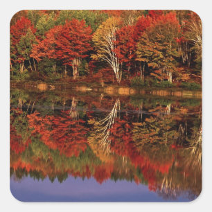 Sticker Carré États-Unis, Michigan, péninsule supérieure. Automn