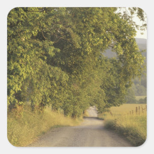 Sticker Carré États-Unis, Tennessee, Great Smoky Mountains Natio