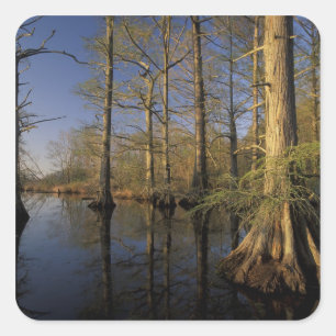 Sticker Carré États-Unis, Tennessee. Reelfoot National Wildlife