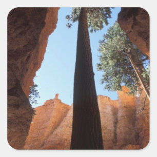 Sticker Carré États-Unis, Utah, Parc national de Bryce Canyon. H
