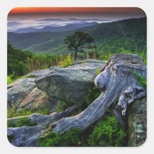Sticker Carré États-Unis, Virginie, Parc national de Shenandoah.